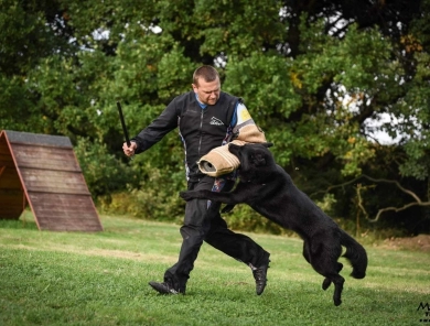 CEISY HELIPEKY German Shepherd