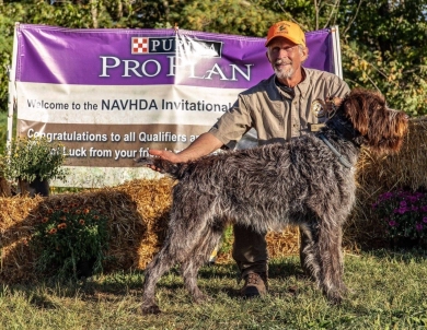 VC CH Flatbrooks Walker MH Wirehaired Pointing Griffon