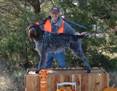 VC CH Flatbrooks Walker MH Wirehaired Pointing Griffon