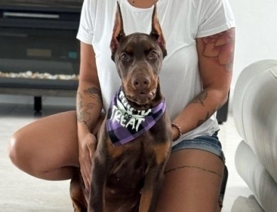 AKC Full Euro  Doberman Pinscher