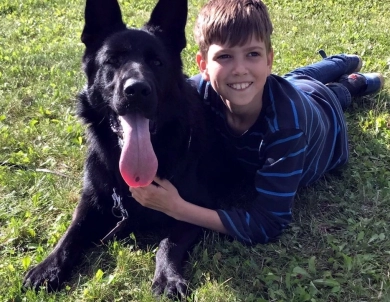 SG1USCA 2019 Fest Kiefer Reward IGP1, BH, KKL German Shepherd