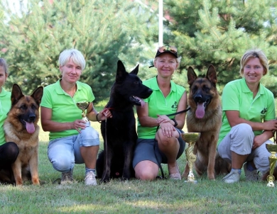 SG1USCA 2019 Fest Kiefer Reward IGP1, BH, KKL German Shepherd