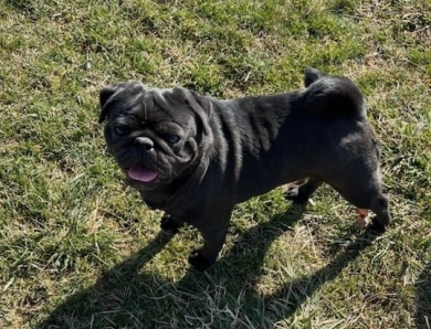 Betty