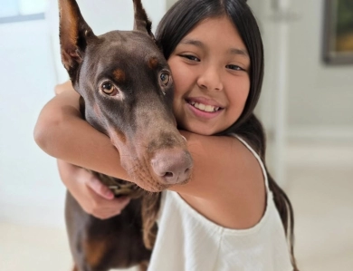 AKC Full Euro  Doberman Pinscher