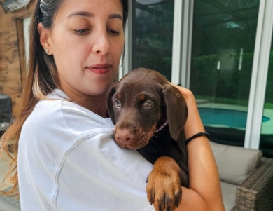 AKC Full Euro  Doberman Pinscher