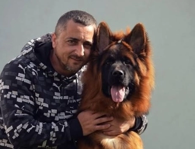 Commander Vom Zwingerwalder Commander Vom Zwingerwalder German Shepherd