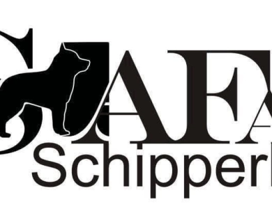 Safari Schipperkes