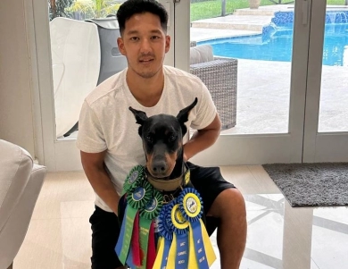 AKC Full Euro  Doberman Pinscher
