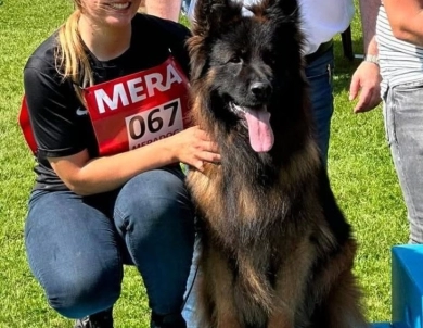 Knut Von Der Wilden Dreisehn German Shepherd