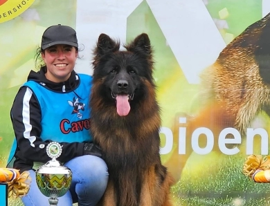 Knut Von Der Wilden Dreisehn German Shepherd