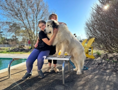 GCH CH Branco (Granados)  Great Pyrenees