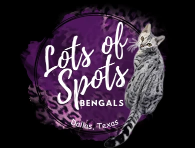 Lots Of Spots Bengals