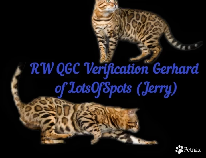 RW QGC Verification Gerhard of LotsOfSpots Bengal