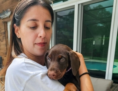 Red Female Doberman Pinscher