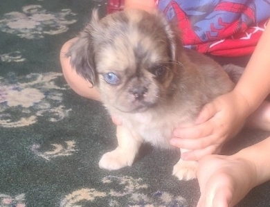 So cute