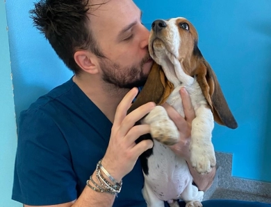 Basset Hound Haven