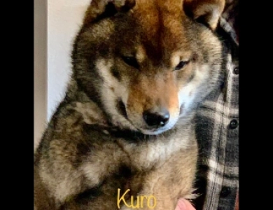 Kuro