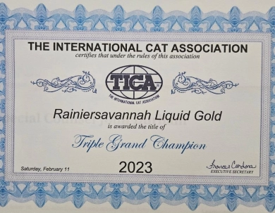 Liquid Gold Savannah