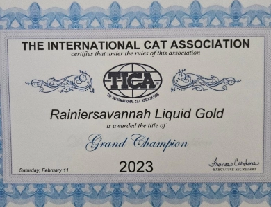 Liquid Gold Savannah