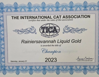 Liquid Gold Savannah