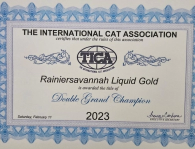 Liquid Gold Savannah
