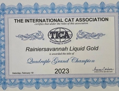 Liquid Gold Savannah