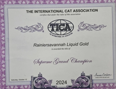 Liquid Gold Savannah