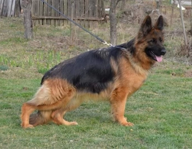 Hela Von Angsthof