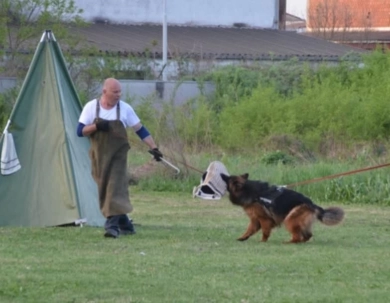 Hela Von Angsthof German Shepherd