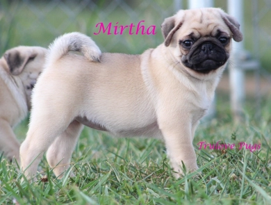 Mirtha