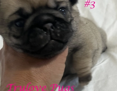 Female #3