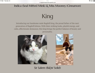 Sir Salem
