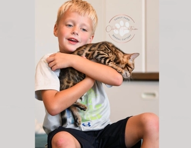 Theo Bengal