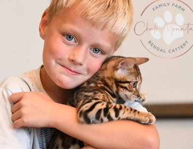 Theo Bengal