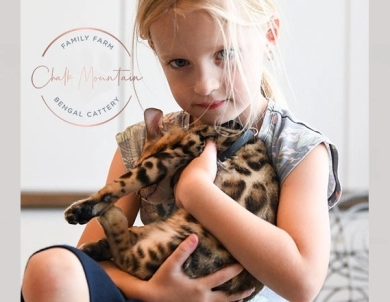 Theo Bengal