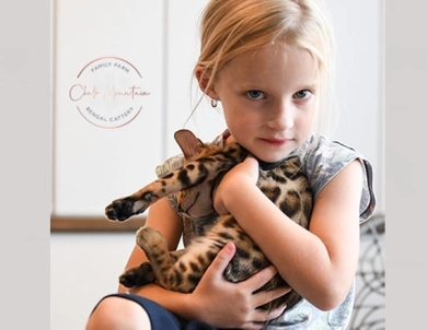Theo Bengal