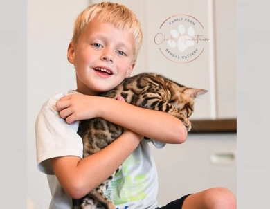 Theo Bengal