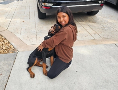 Fortuna Rosa Di Lakewood Doberman Pinscher