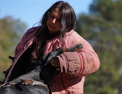 Dolce Vita Di Lakewood Doberman Pinscher