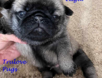 Edgar