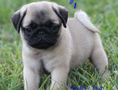#1