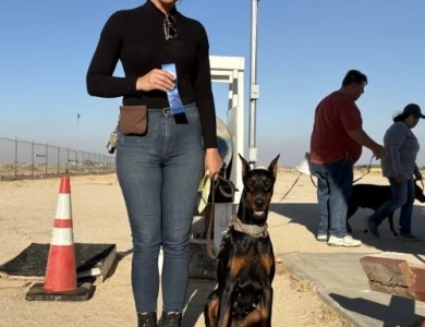 Galaxy Ruby di Lakewood Doberman Pinscher