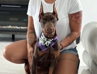 AKC Full Euro AKC Full Euro Doberman Pinscher