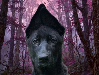 Alexandra Von WestLynn