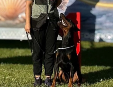 Solo Limited Edition El Greco Nero Solo Limited Edition El Greco Nero Doberman Pinscher