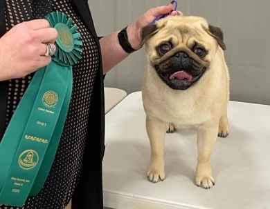 Champion Reese Pug