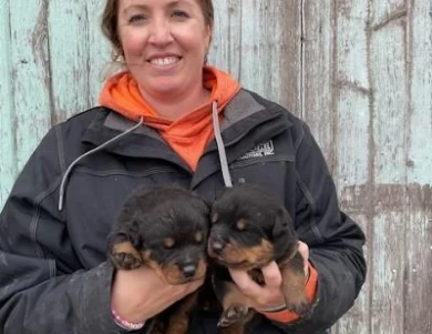 Farm Raised Registered Rottweilers