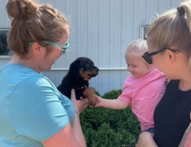 "Navy"   Honeyview Captain Reba Rottweiler