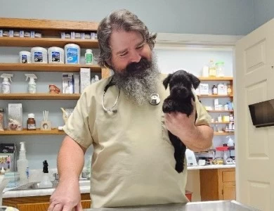 A'Lord  Miniature Schnauzer