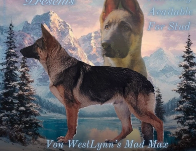 Von Westlynn's Mad Max